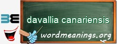 WordMeaning blackboard for davallia canariensis